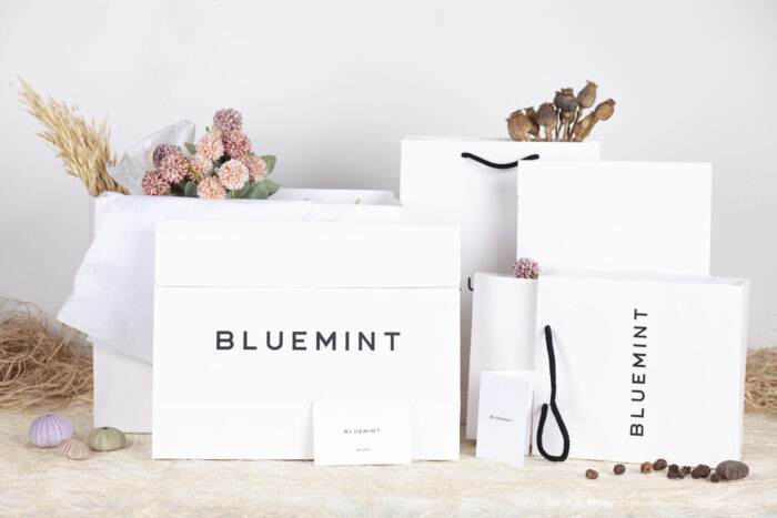 Bluemint 2024 Yılbaşı Özel Ambalaj Koleksiyonu - Görsel 2