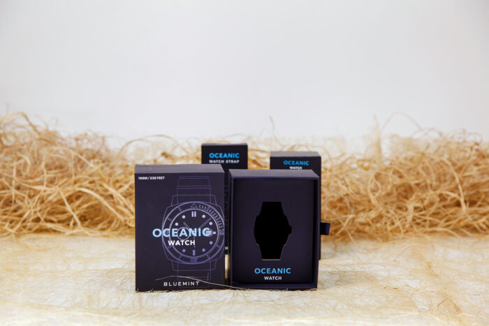 Bluemint 2025 Süngerli Taslama Saat Kutusu - Görsel 1