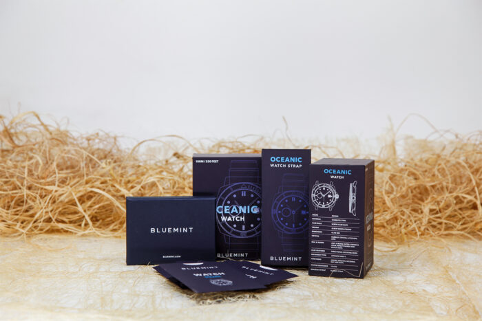 Bluemint 2025 Süngerli Taslama Saat Kutusu - Görsel 2