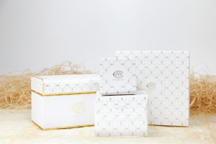 Paticceria Cova 2025 Özel Tasarım Pasta Kutusu - Görsel 4