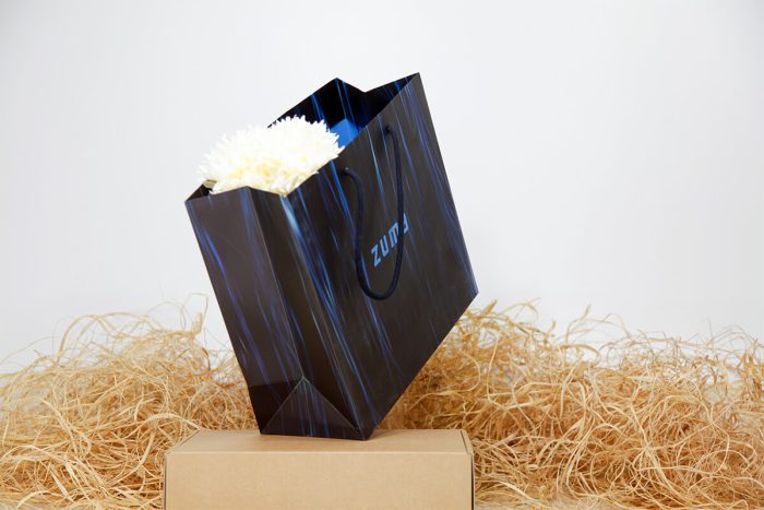 Zuma İç Baskılı Karton Çanta - Görsel 1