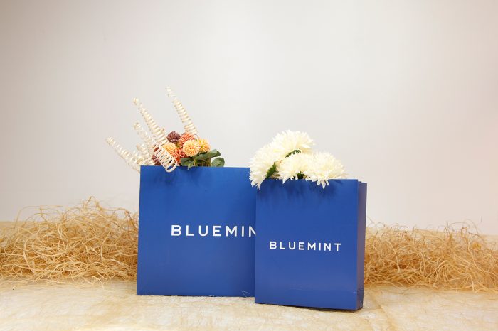 Bluemint North Karton Çantaları - Görsel 2